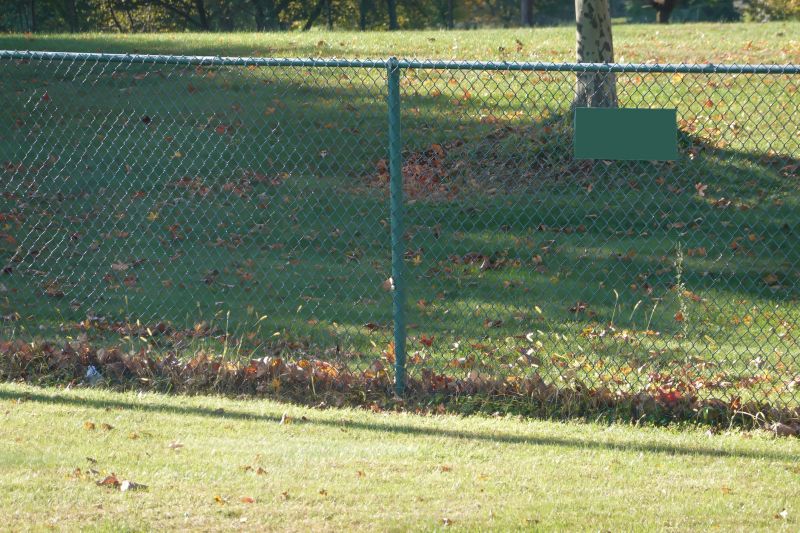 Summer Fence Maintenance